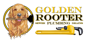Golden Rooter